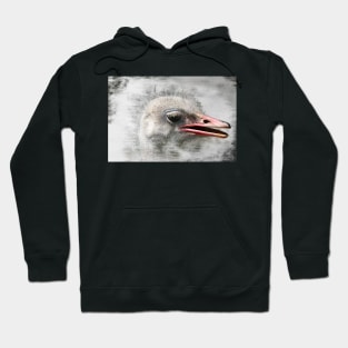 ostrich head - 02 Hoodie